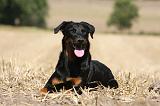 BEAUCERON 749